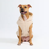 Teddy Sherpa Dog Sweater - Beige