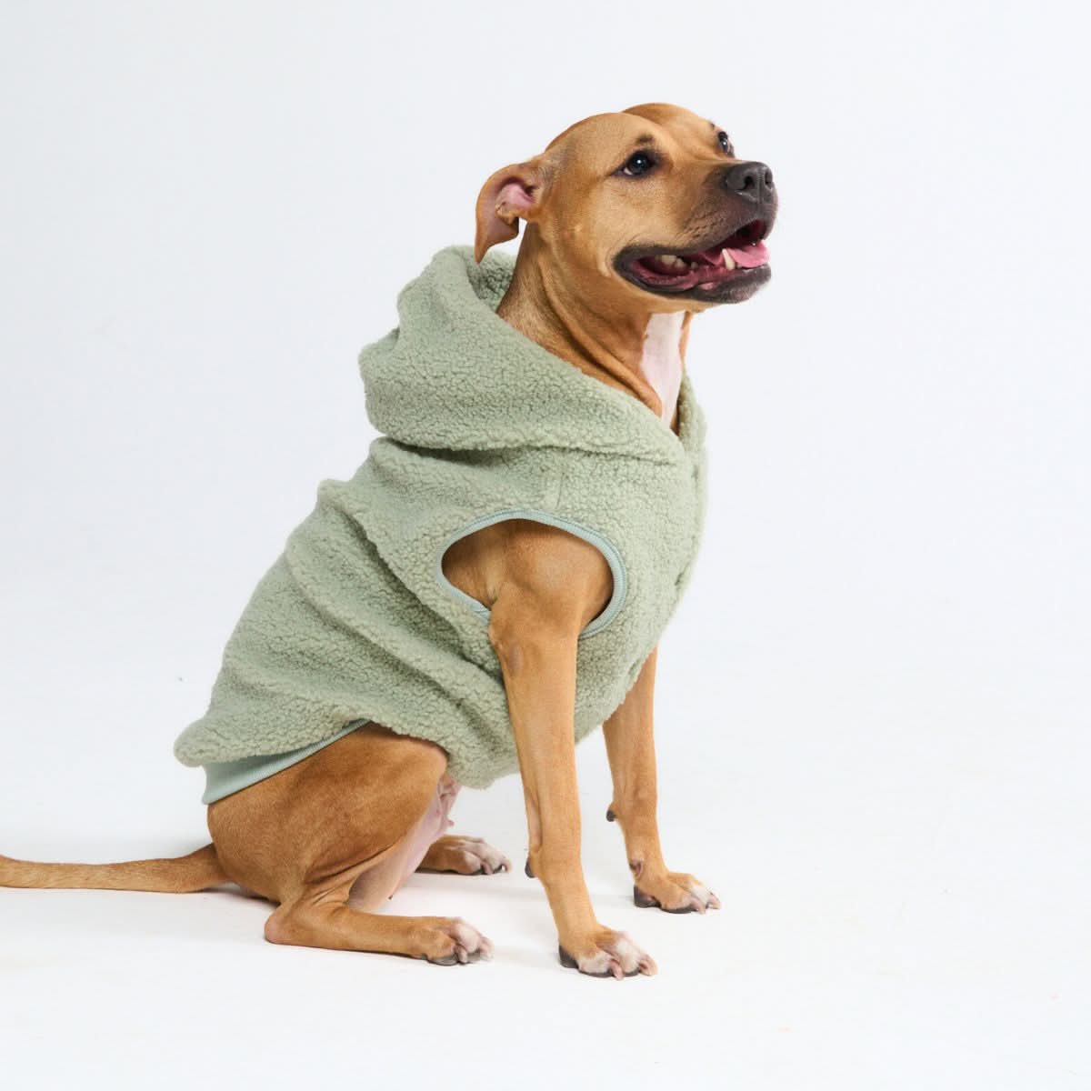 Teddy Sherpa Dog Jacket, Grey, Fleece Winter Vest