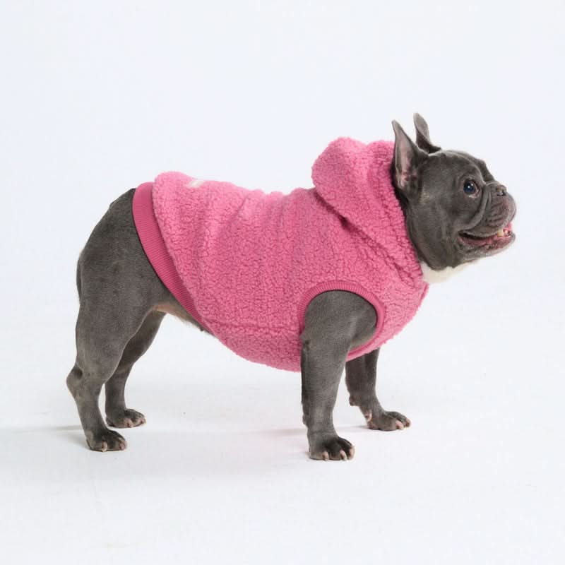 Teddy Sherpa Dog Jackets – SPARK PAWS
