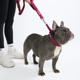 Multipurpose Seatbelt Handsfree Leash & Poop Bag Holder Set - Fuchsia Camo
