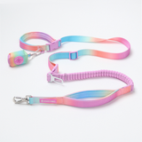 Multipurpose Seatbelt Handsfree Leash & Poop Bag Holder Set - Pastel Icing