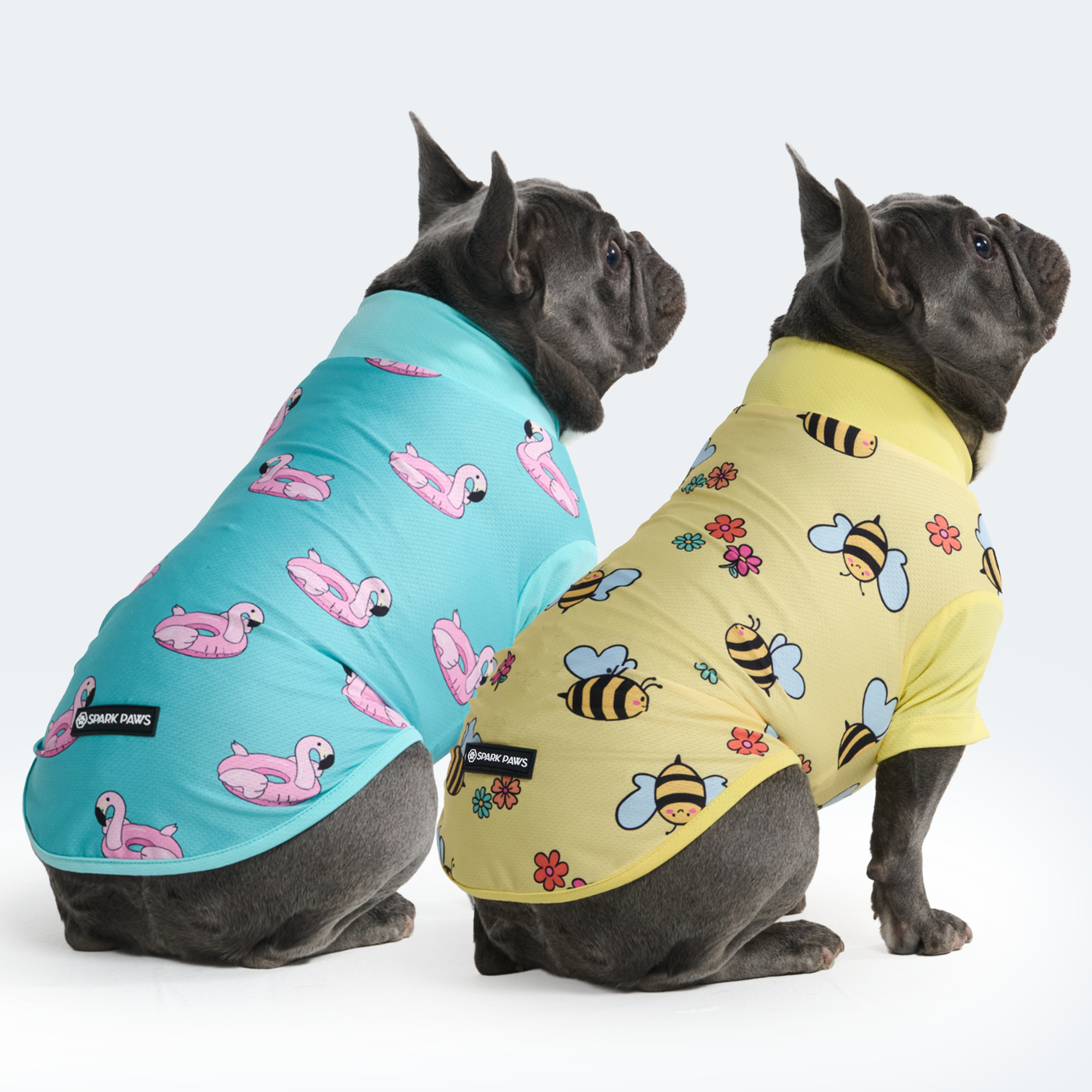 Sunblock Dog T-Shirt 2-pack – SPARK PAWS