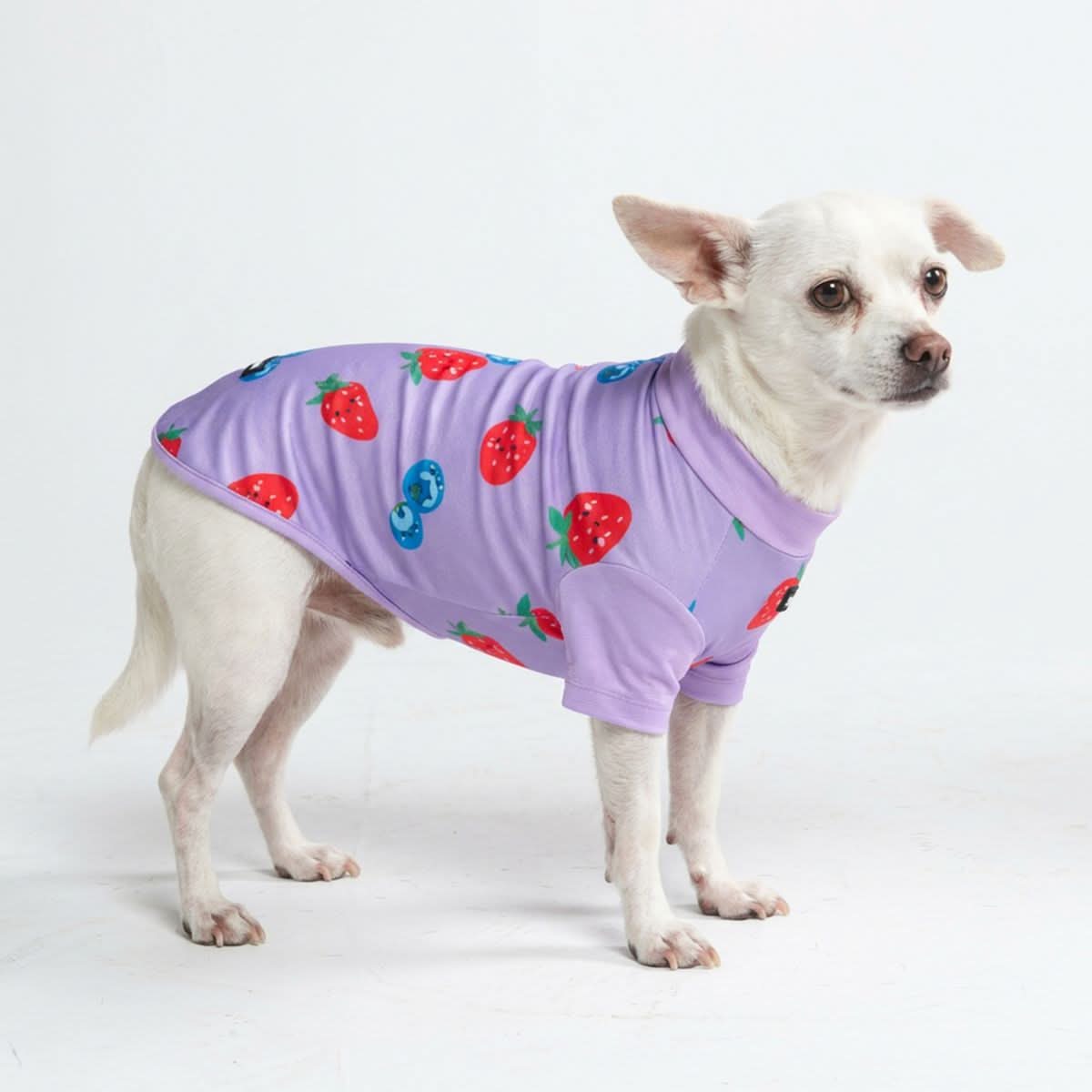 Sunblock Dog T-Shirt - Berries – SPARK PAWS
