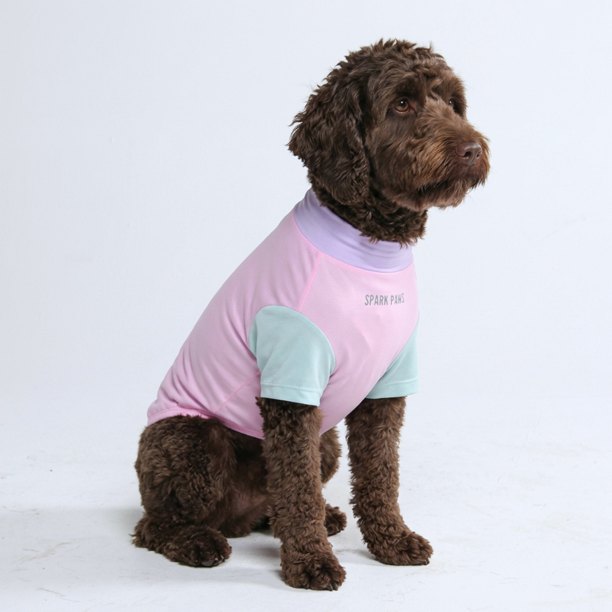 Sunblock Dog T-Shirt - Gelato – SPARK PAWS