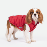 Red Thermosonic Winter Jacket||size:M
