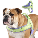 Violet Lime Grab and Go||size:3