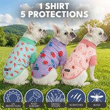 Watermelon Berries Peaches||size:S,M,L,XL,2XL,3XL,4XL,5XL