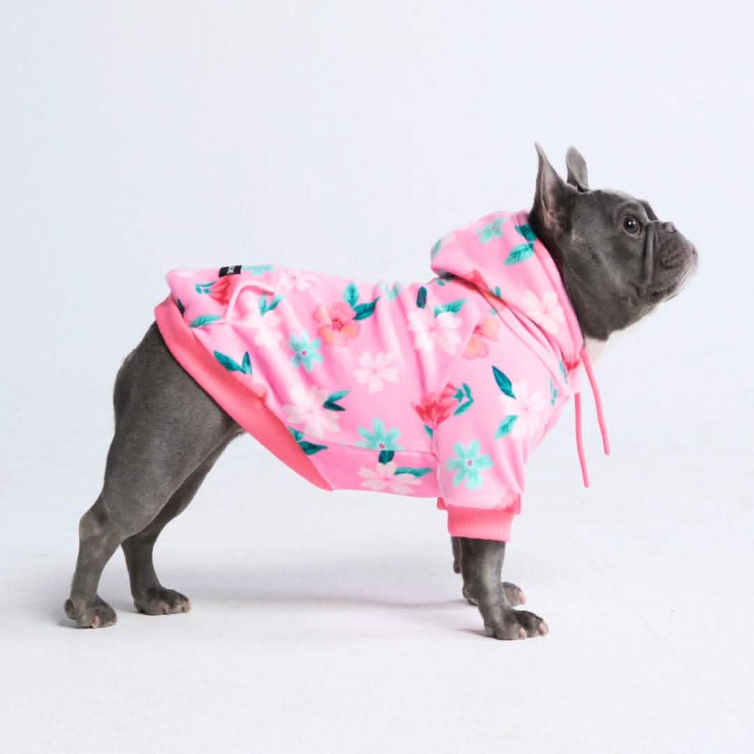 it-dogs DaisyTop Ｓ Top Paw Daisy Vest Dog Harness Yellow — Desert Paws Rescue
