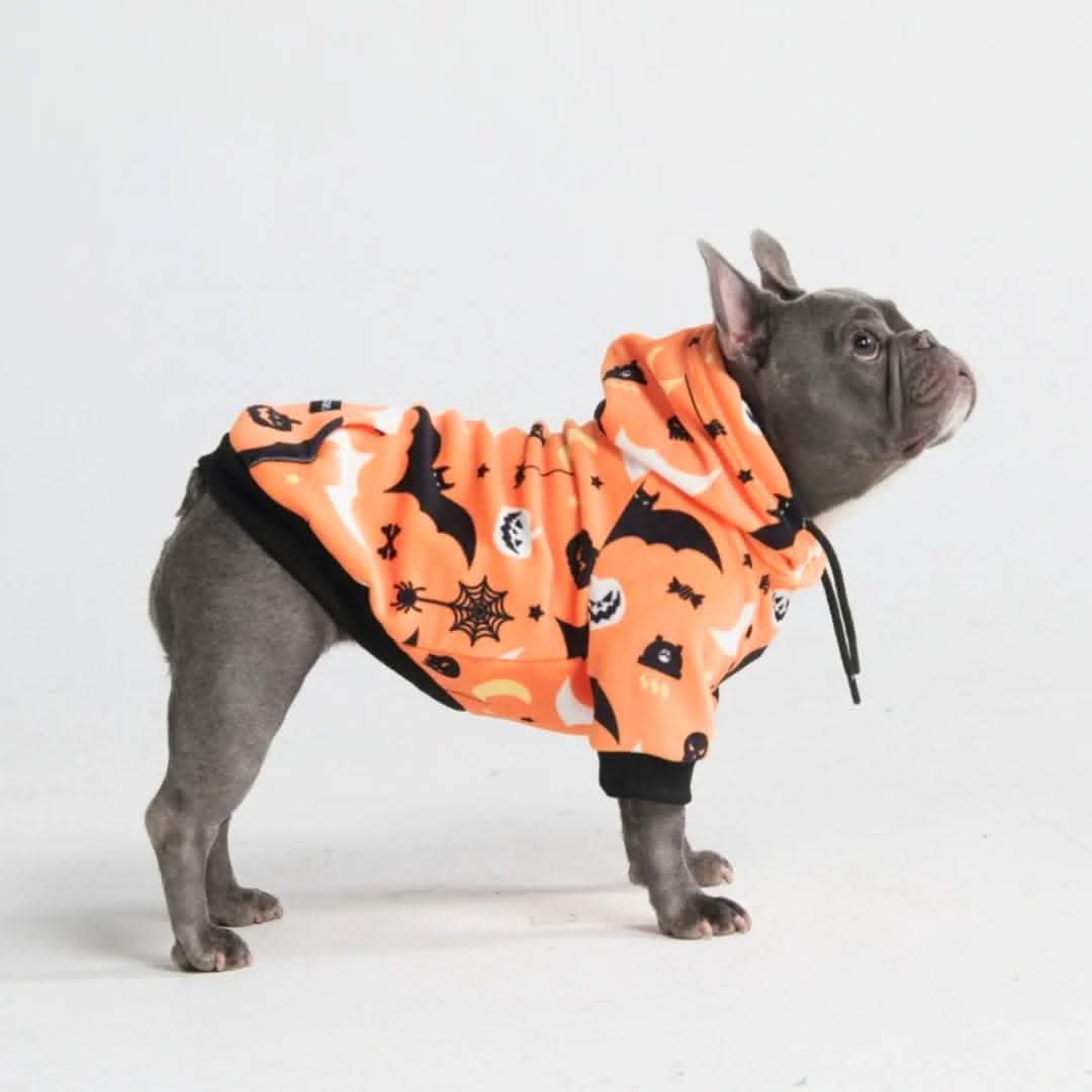 doghalloweenhoodie.jpg?v=