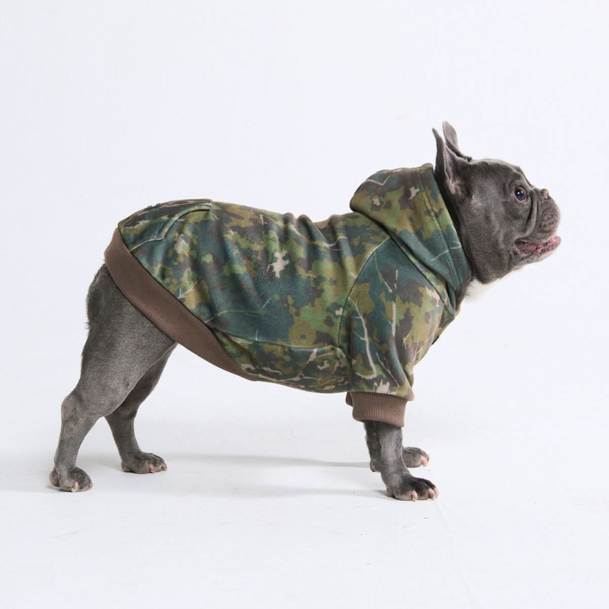 Dog Hoodie DroolingDog Camo - Army Green Pet Sweater For Small Dogs Small Dog Clothes
