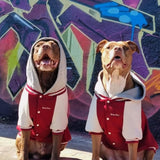 Dog Varsity Jacket - Red
