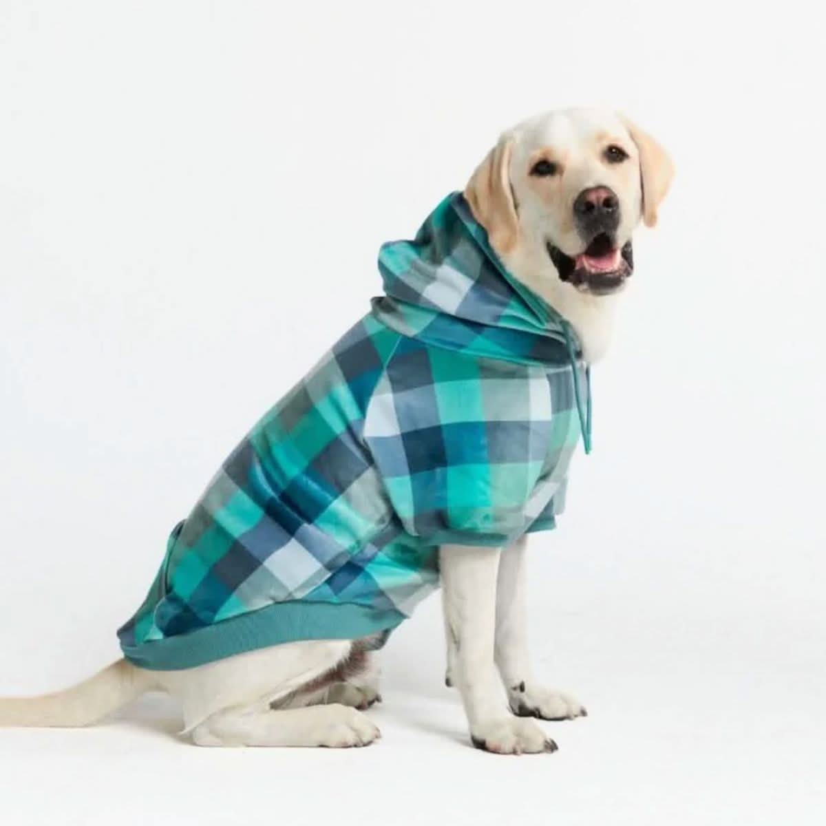 Velvet Dog Hoodie