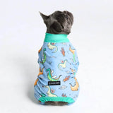 Dog Pajama - Dragons