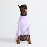Dog Pajama - Purple Stripes