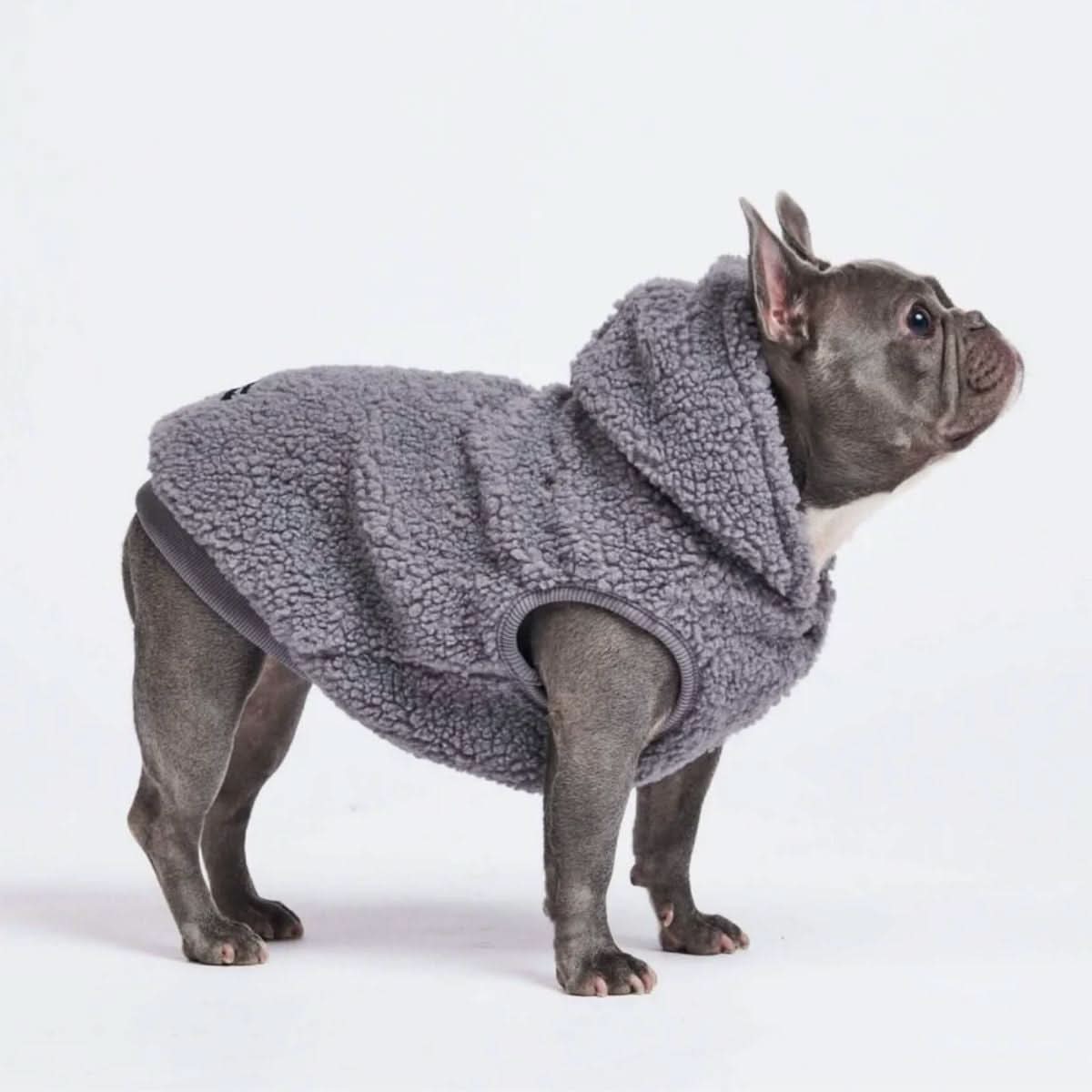 Teddy Sherpa Jacket - Grey – SPARK PAWS