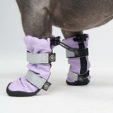 Dog Rainboots, Waterproof Dog Shoes - Lilac