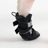 Flex Shell Waterproof Dog Boots - Black