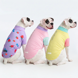 Gelato Yuzu Berries||size:2XL,3XL