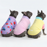 Gelato Yuzu Berries||size:L,XL