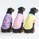 Gelato Yuzu Berries||size:4XL,5XL