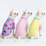 Gelato Yuzu Berries||size:S,M