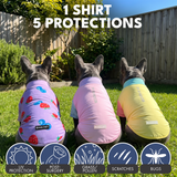 Gelato Yuzu Berries||size:S,M,L,XL,2XL,3XL,4XL,5XL