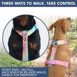 Pastel Icing Harness||size:S,M,L