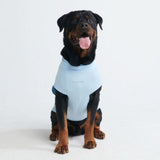 Sunblock Dog T-Shirt - Blue