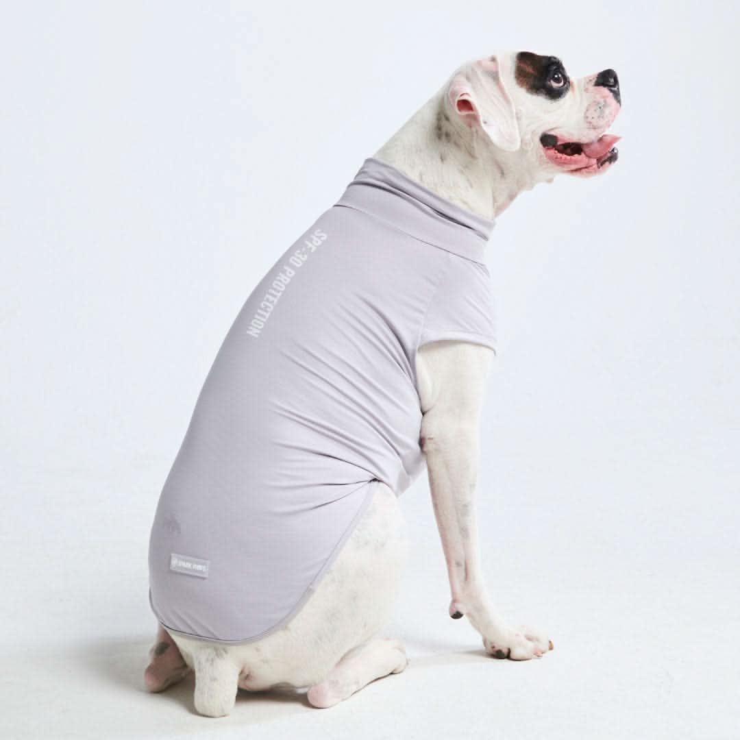 Sunblock Dog T-Shirt - Grey – SPARK PAWS