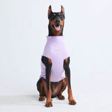 Sunblock Dog T-Shirt - Purple