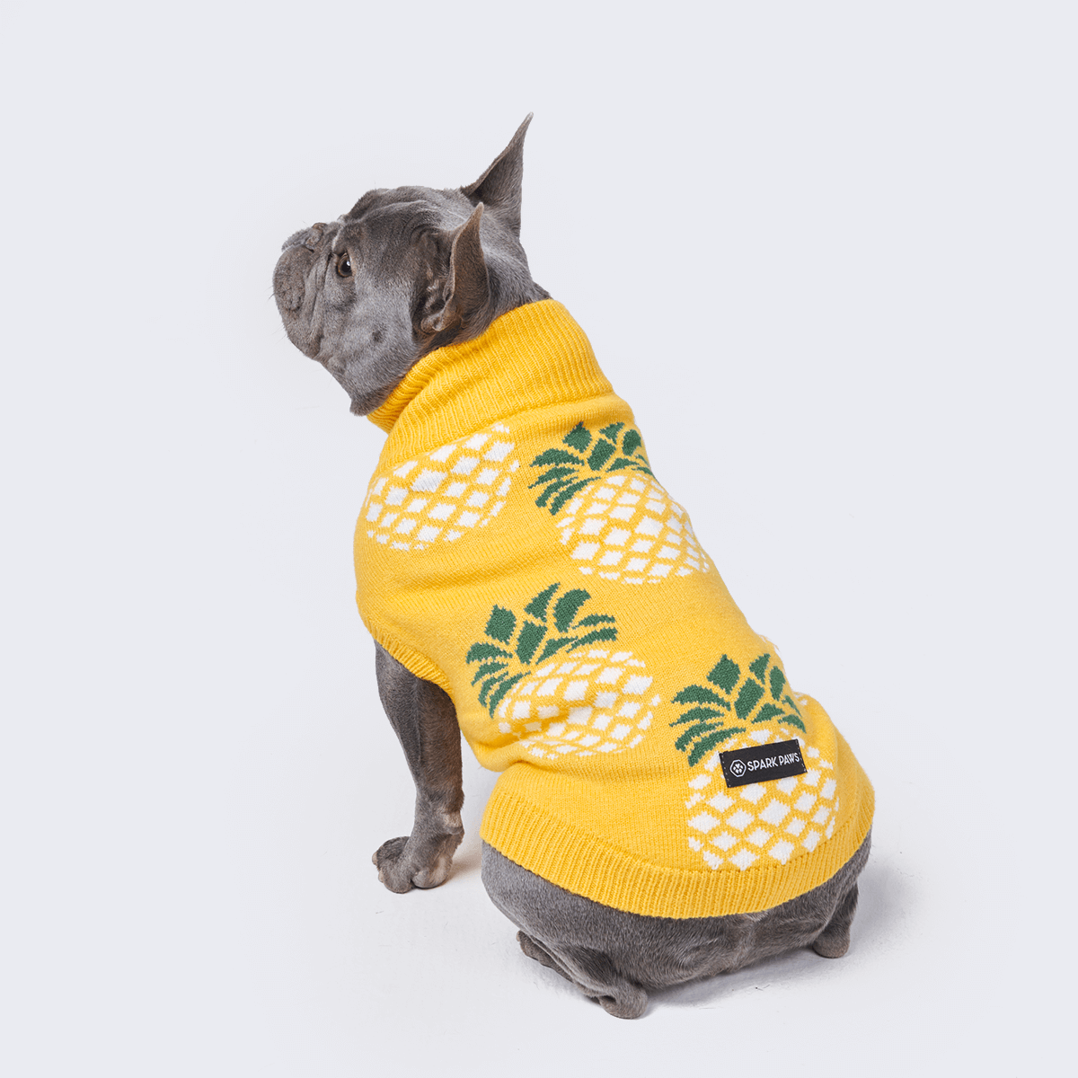 Pineapple dog sweater best sale