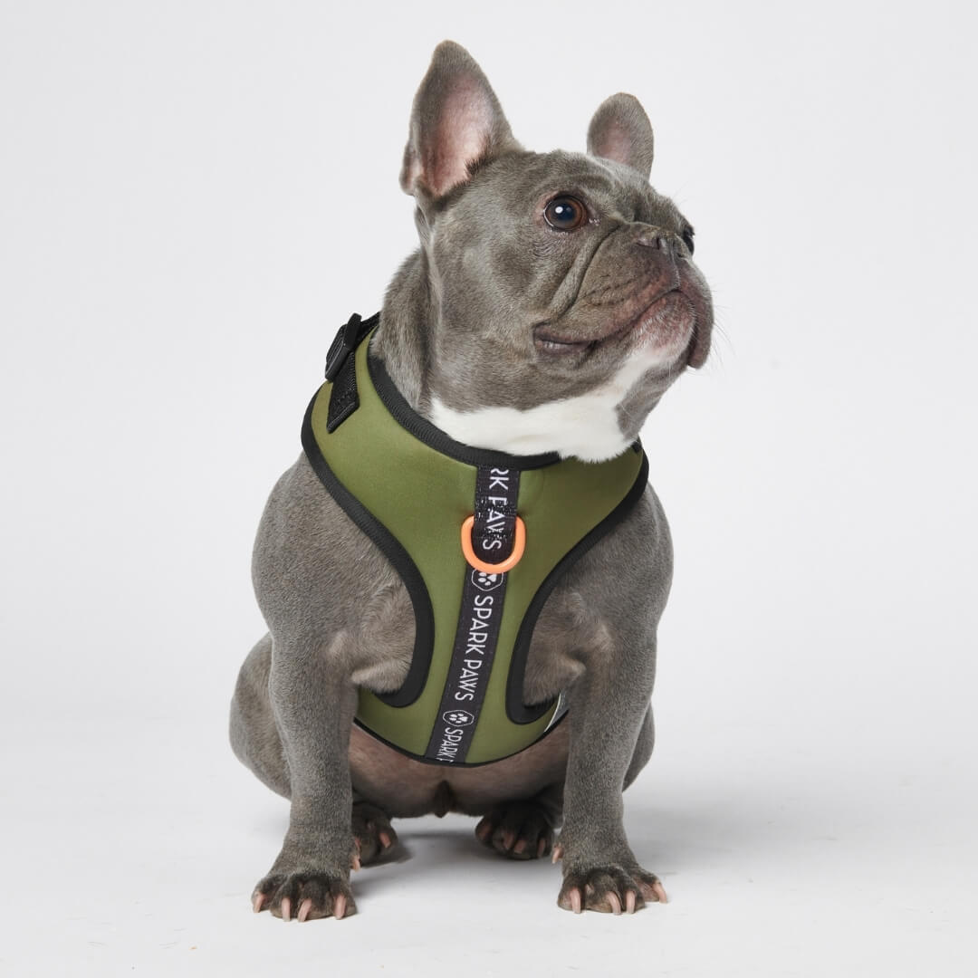 Spark Paws: Quality Dog Clothes, Collar, Harness & Accessories – SPARK PAWS
