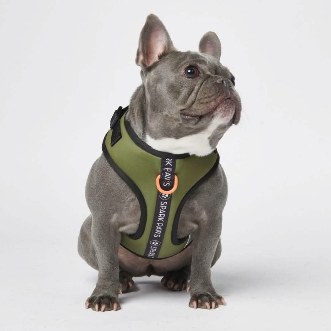 Ultra Soft Activewear Dog Harness Green