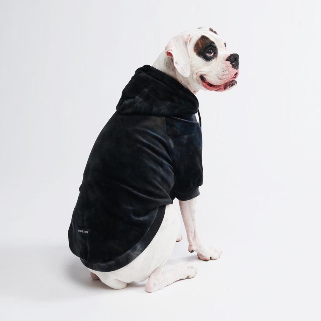 Wake Forest Dog Hoodie Coat 