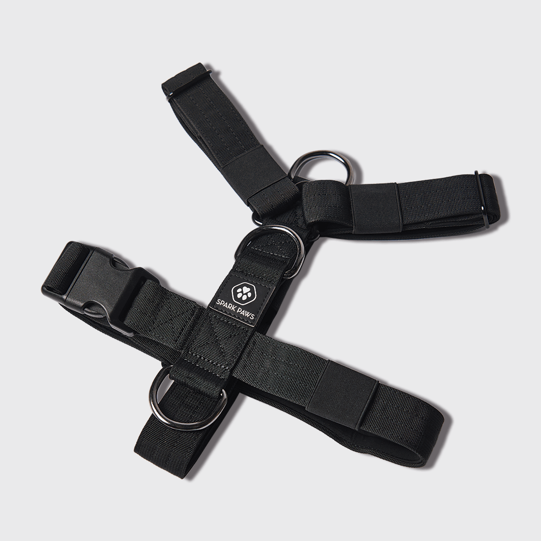 Comfort Control No-Pull Dog Harness - Black – SPARK PAWS