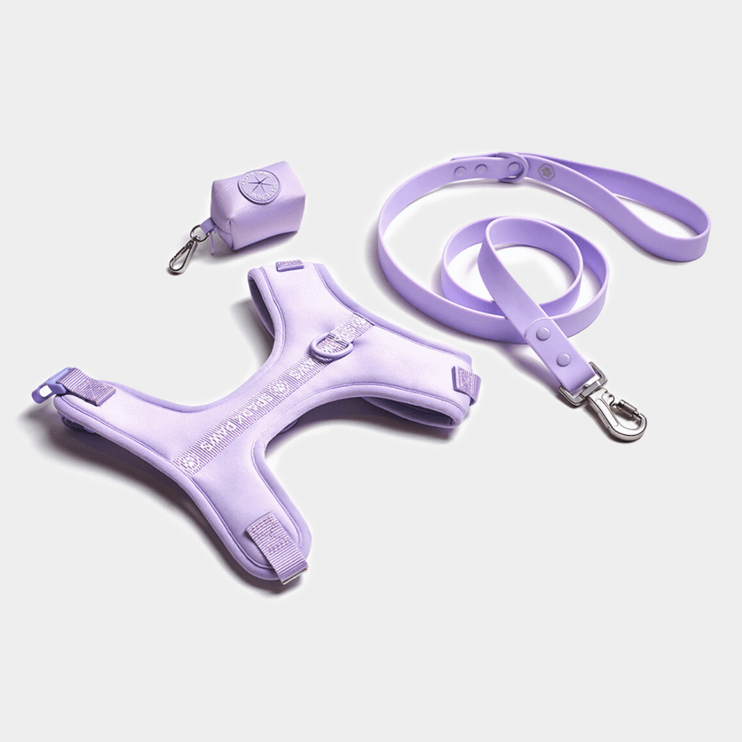 Amazon.com : Wild One Harness 2.0 - Medium - Lilac : Pet