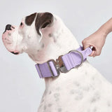 Lilac Collar