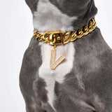 Initial Letter Jewelry Tag - V