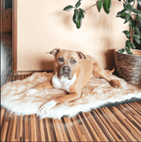 Faux Fur Memory Foam Rug Dog Bed