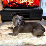 Faux Fur Memory Foam Rug Dog Bed