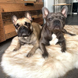 Faux Fur Memory Foam Rug Dog Bed