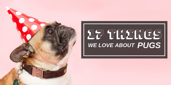 17 Things We Love About Pugs