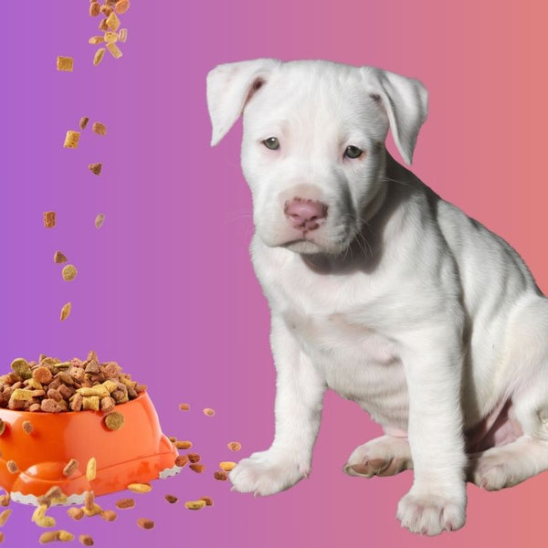 Best Food for Pitbull Puppy: Essential Nutrition Guide – SPARK PAWS