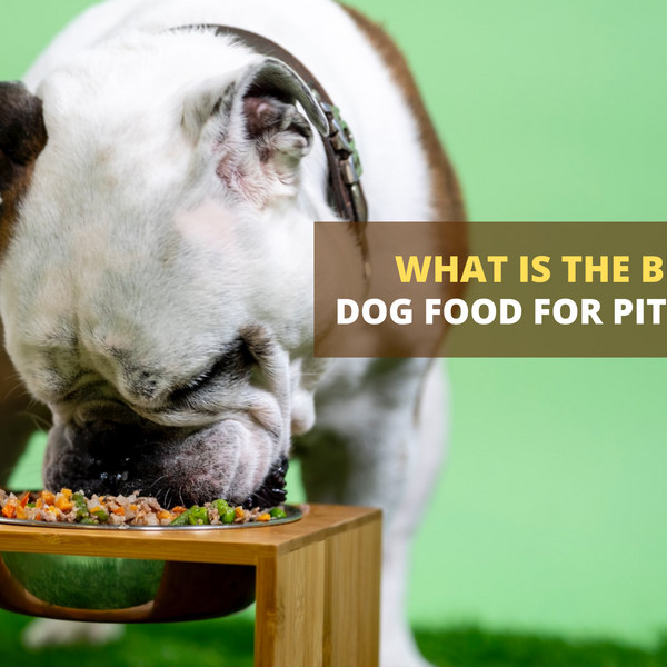 Top food for hot sale pitbulls