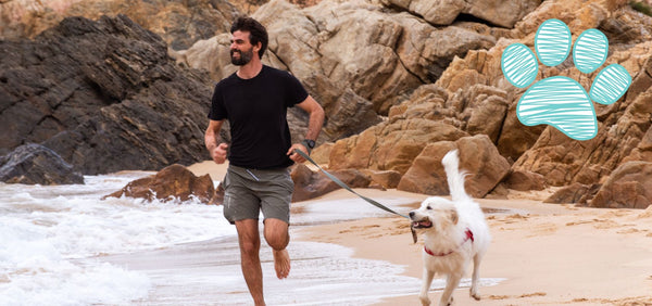 How to Train Your Dog to Run With You