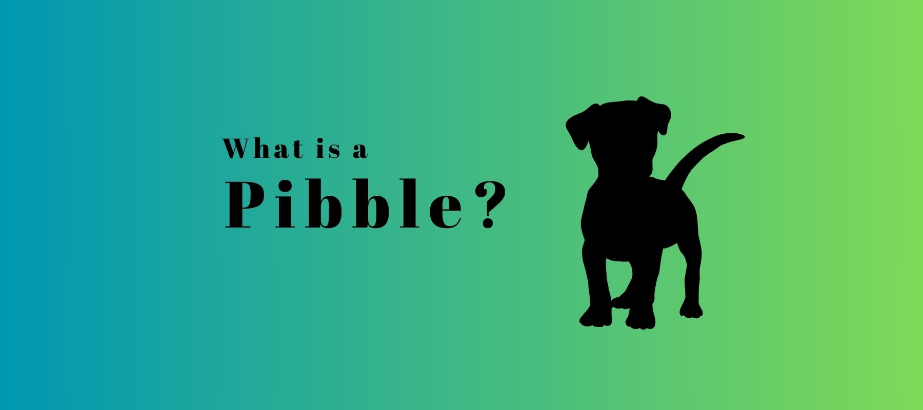 What is a Pibble? Discover the Truth About These Sweet Dogs – SPARK PAWS