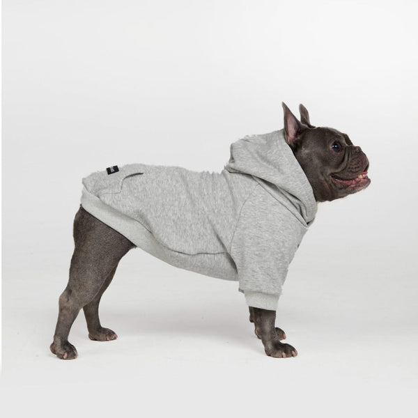 Cyber Punk Dog Hoodie – SPARK PAWS