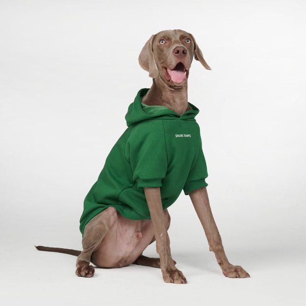 Essential Dog Hoodie - Cobalt Green