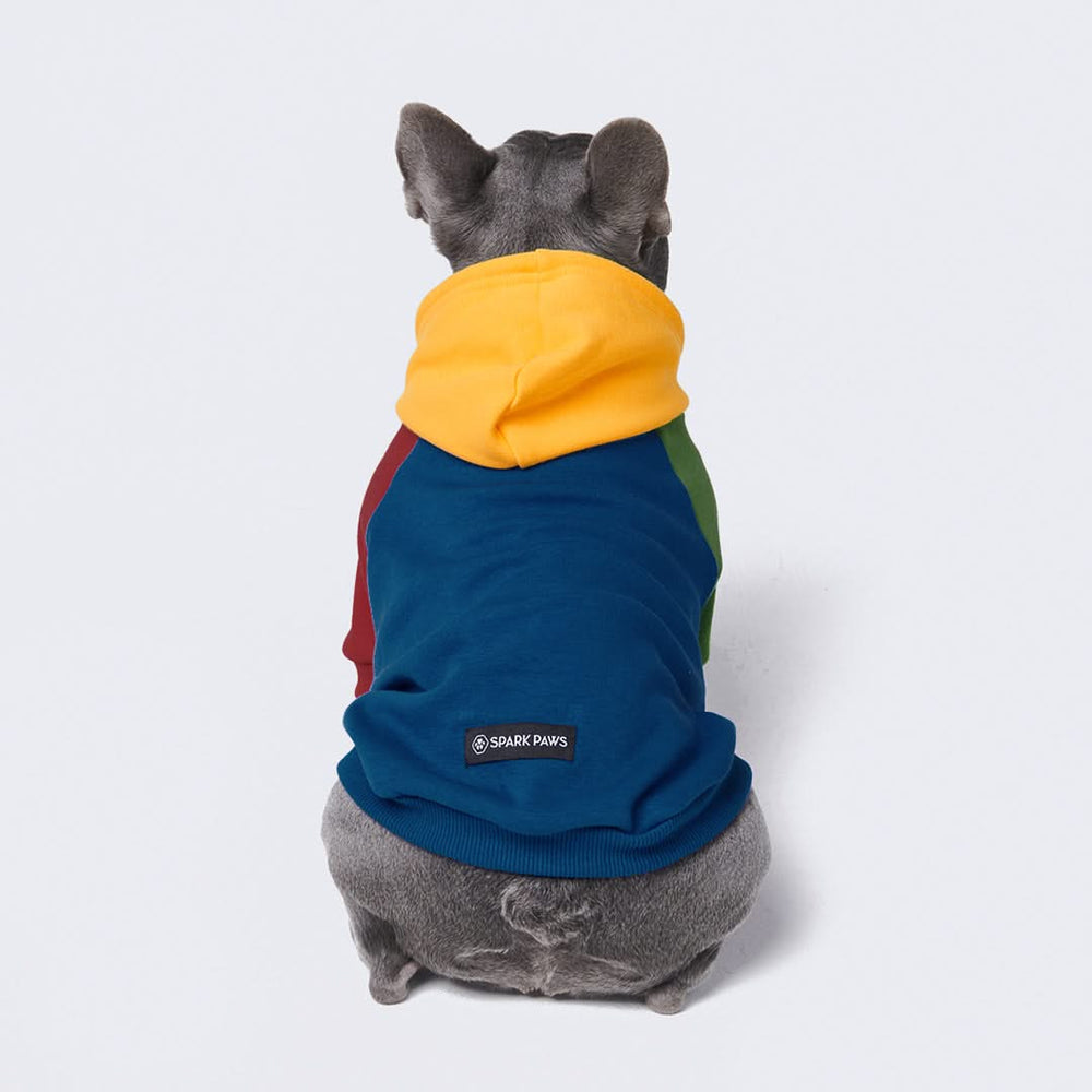 Color block dog hoodie clearance