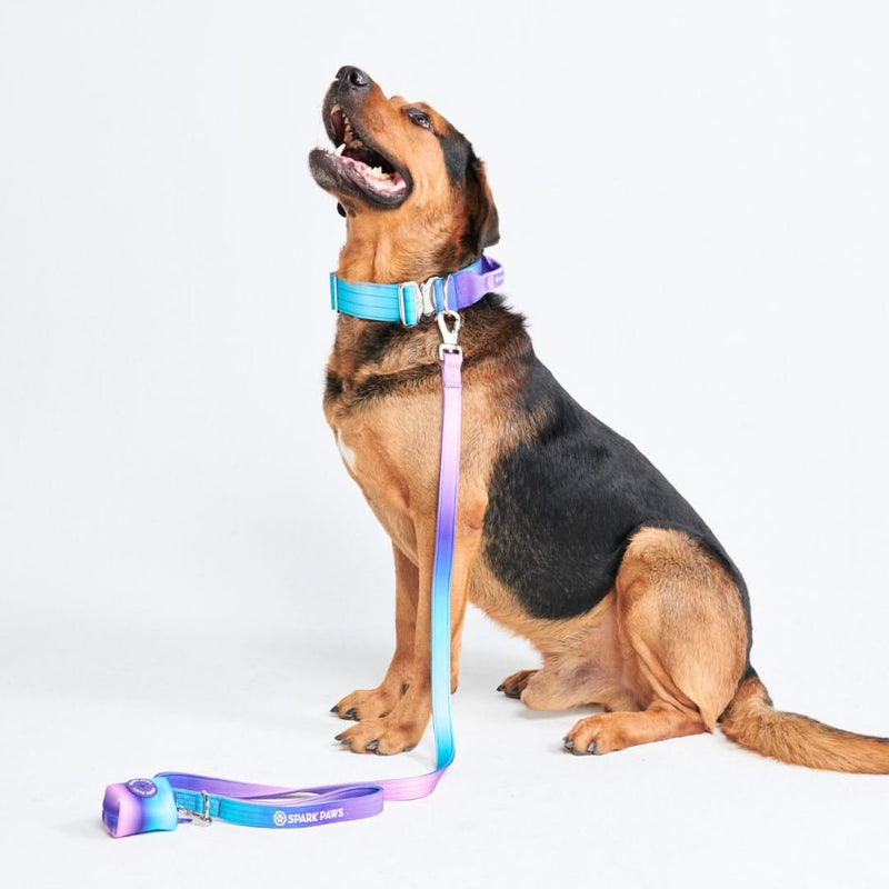 90s Retro Collar